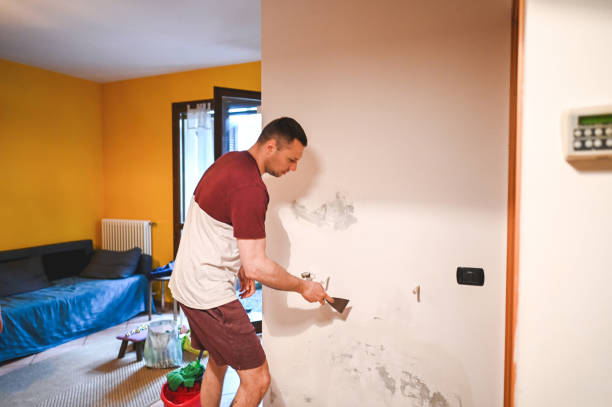 Best Mold Remediation for Schools in Pelican Rapids, MN